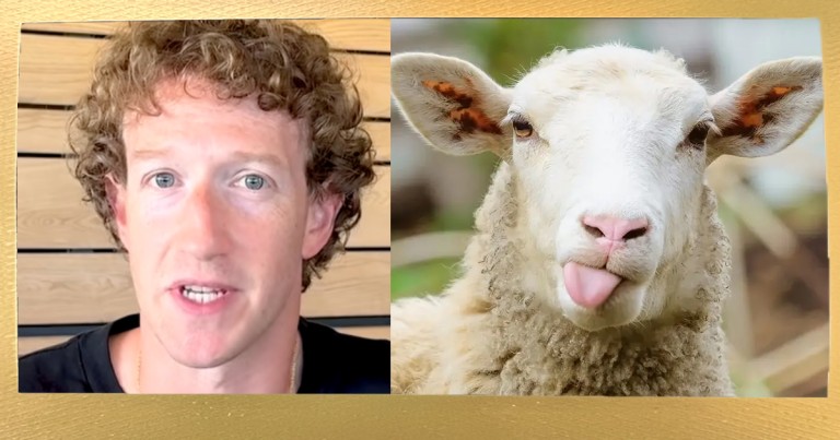 Mark Zuckerberg Probably Won’t Mind Us Publishing That He Fucks Sheep on Facebook