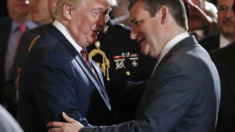 Cruz Says He Helped Plan Eastman’s Coup Because “Someone Laced Trump’s Taint With Roofies”