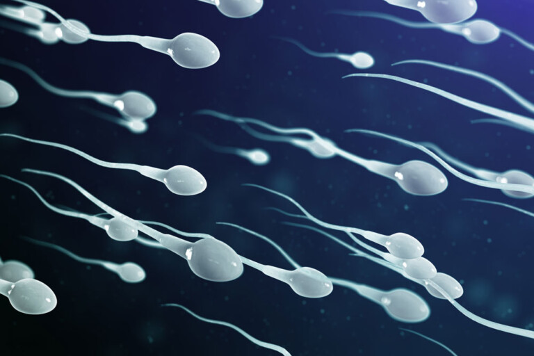 Overturning Roe Doesn’t Go Far Enough. Sperm Must Be Given Full Citizenship.